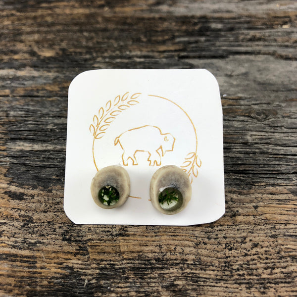 Antler Window Stud Earrings