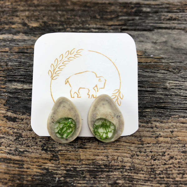 Antler Window Stud Earrings