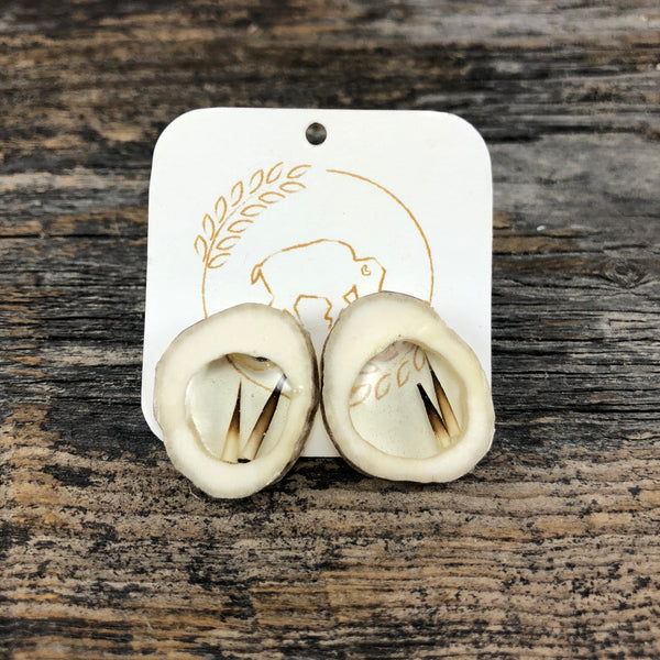 Antler Window Stud Earrings