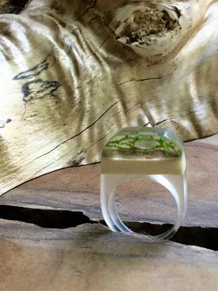 Antler Ring - Eveline