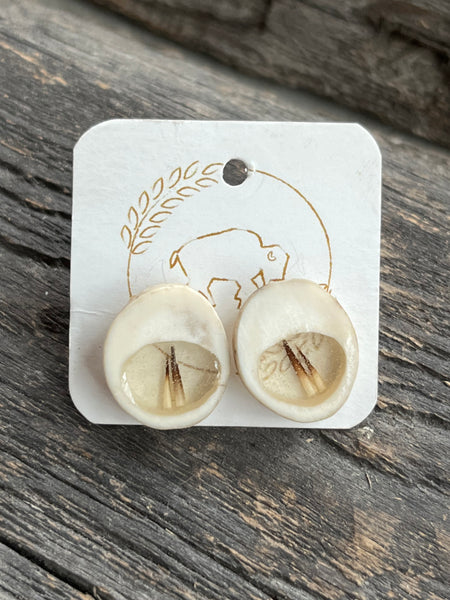 Antler Window Stud Earrings