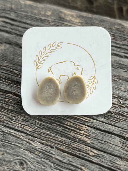 Antler Stud Earrings
