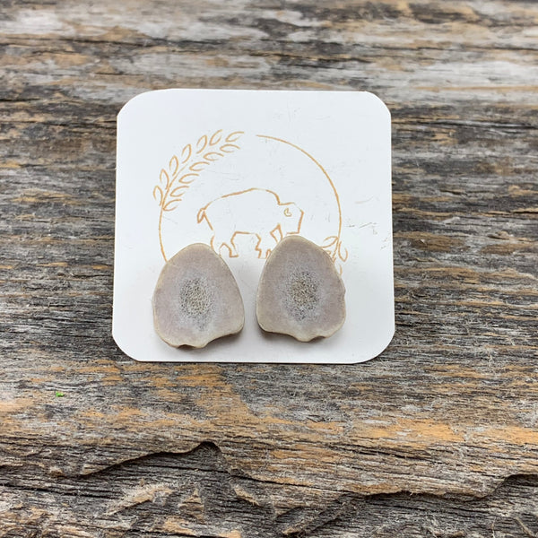 Antler Stud Earrings