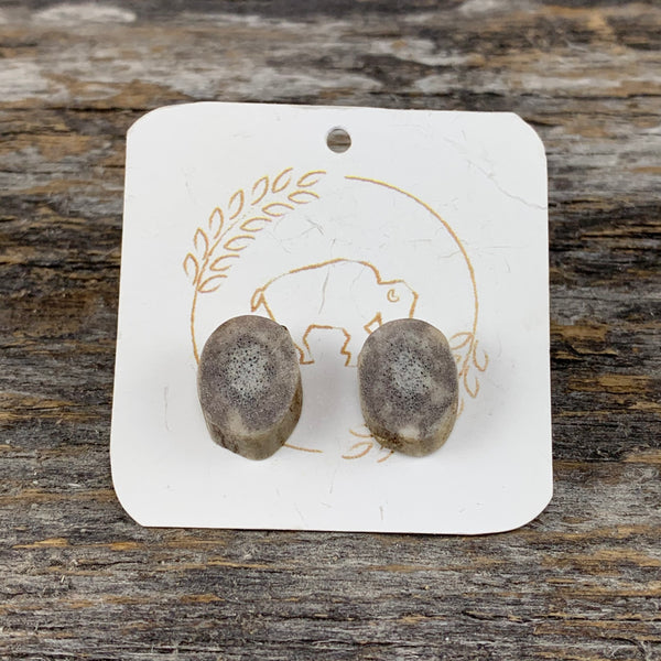 Antler Stud Earrings