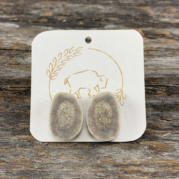 Antler Stud Earrings