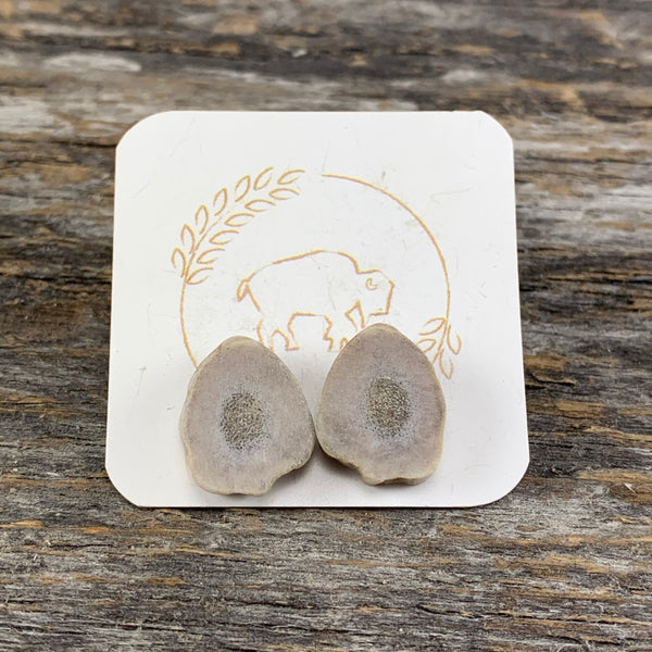 Antler Stud Earrings
