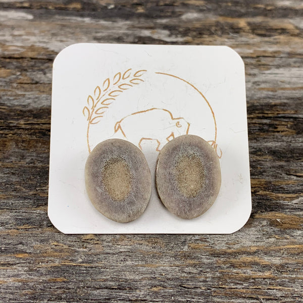 Antler Stud Earrings