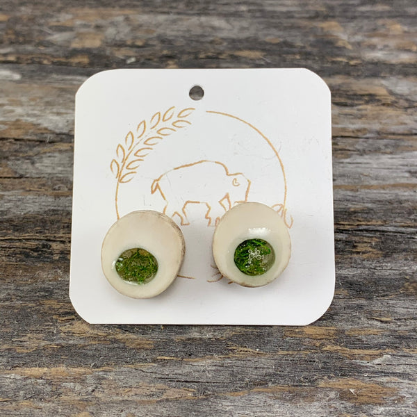 Antler Window Stud Earrings